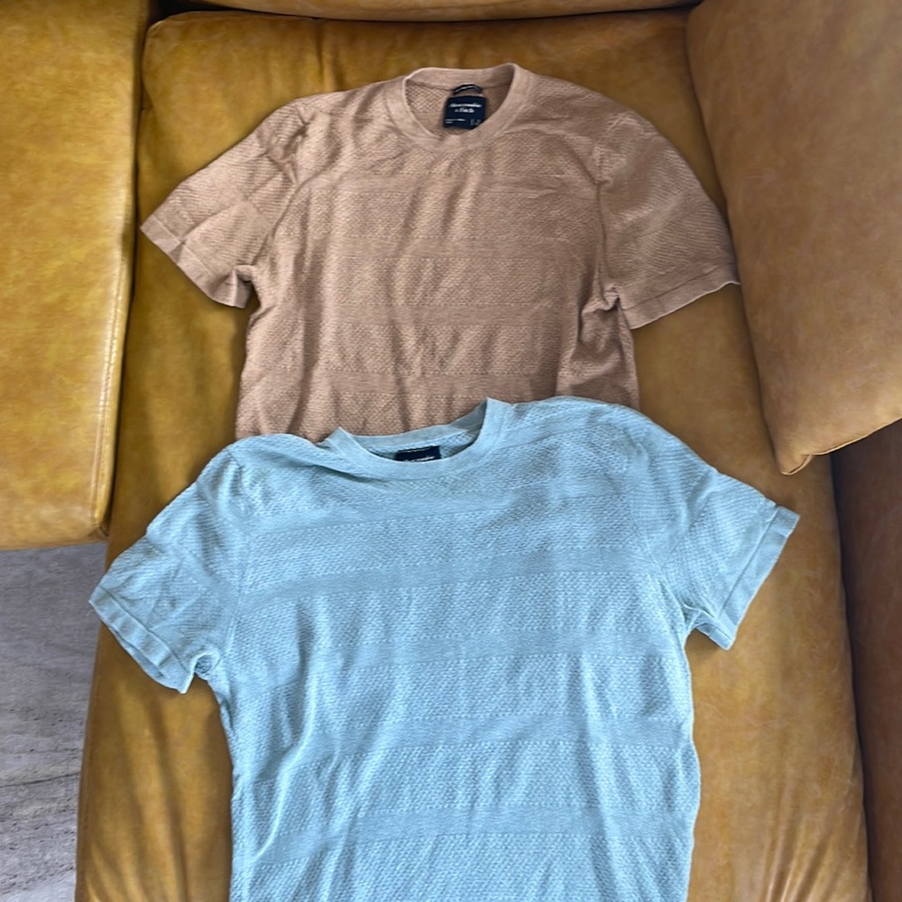 Mens basic tee shirt